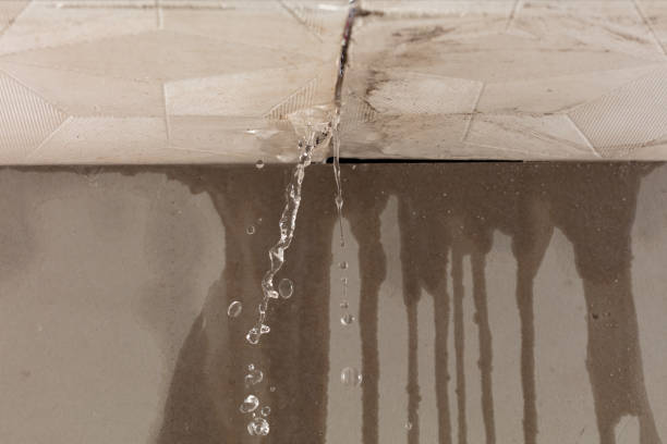 Professional Sewage Cleanup technician working in Elrosa, MN